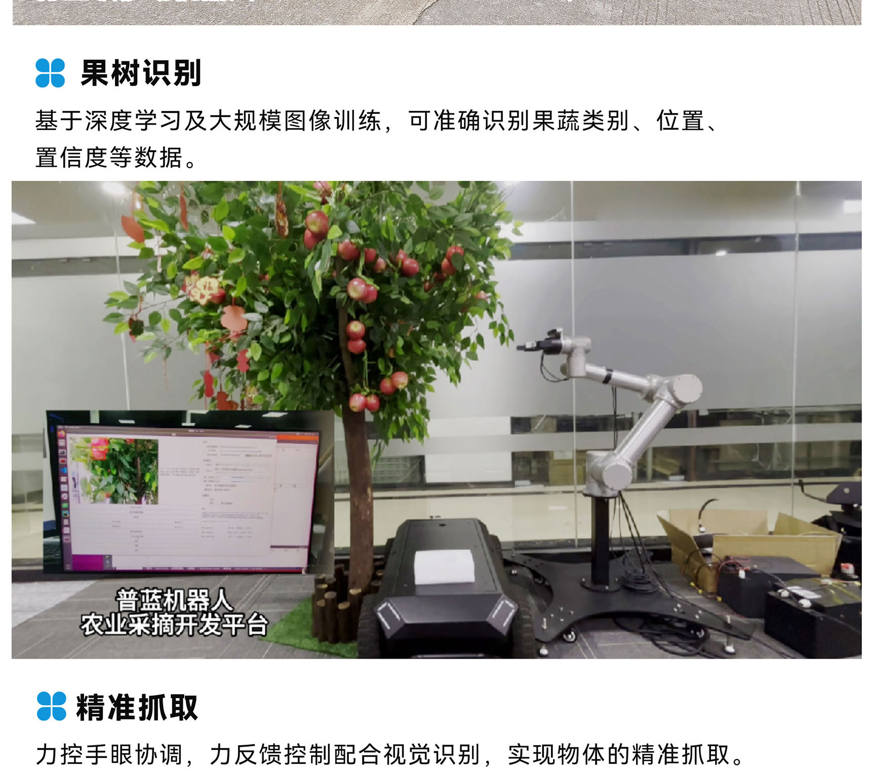 智慧农业采摘机器人_03.jpg