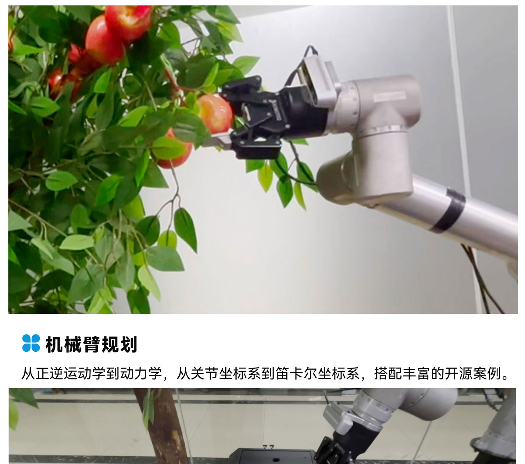 智慧农业采摘机器人_04.jpg